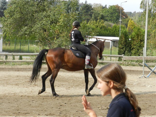 Babie Lato 2016